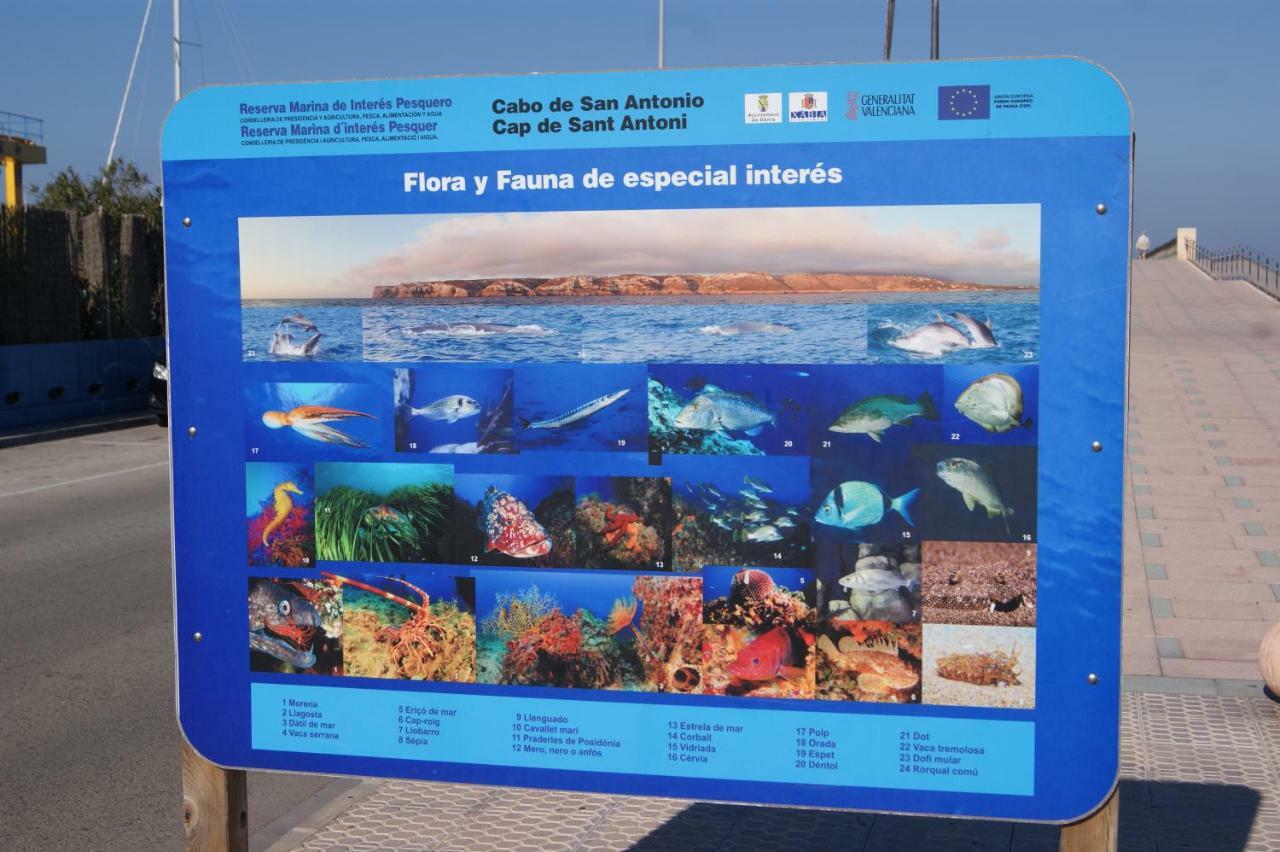 Apartamento Las Marinas II En Dénia Eksteriør billede